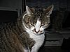 Unsere alte Dame
