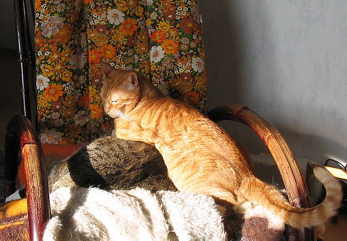 Loulou und Amigo &uuml;bereinander