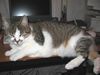 Du gehst jetzt nicht mehr an der PC!