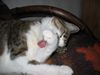Gesicht waschen...