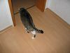 Okay, mal sehen ob noch was zu essen da ist...