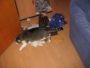 Loulou hat das Geschenkpapier aufger&auml;umt