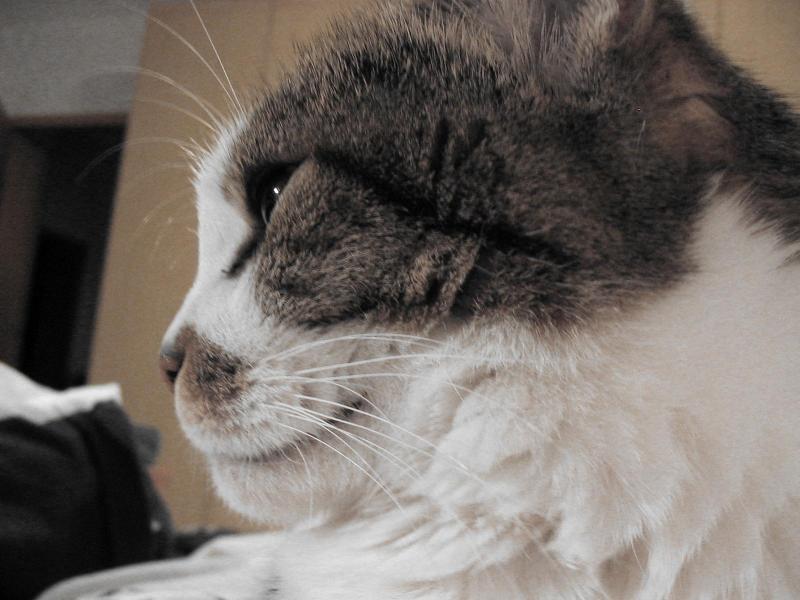 Loulou ist etwas eingebildet
