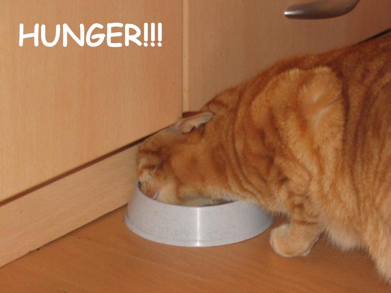 Migo hat Hunger